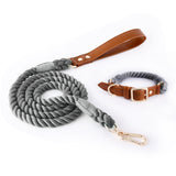 Premium Leather Pet Collar and Leash - Soft, Strong Braided Rope V888-ELOSUNG31277