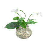 Hammered Squat Bowl Lip-Antique Gold 28x21cm V637-97001BWL