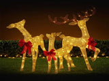Christabelle 3 Reindeer Family Christmas Light Up Display 1.25m Gold Mesh Animated Outdoor Indo 112_SHE206