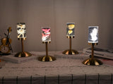 Dandelion Grass Eternal Flower Acrylic Table Lamp - Color-Changing LED, USB Rechargeable, Touch V888-ELOSUNG21683