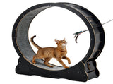 Cat Exercise Wheel, 120 cm Wooden Cat Running Wheel for Indoor Cats up to 12.7 kg, Cats Treadmill V952-MZMPBJLHSMDB3N5ZN001V0