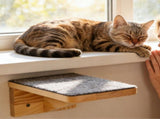 Set of 2 Cat Wall Shelves, Wooden Climbing Steps for Wall Mount, Ideal for Living Room and V1237-ZY-924-093