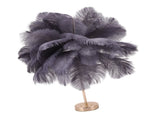 Ostrich Feather Table Lamp Rechargeable Modern Romantic Decoration Lamp Bedroom Bedside Lamp for V1294-YM0703-3119230059315