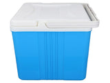 Cooler Box 10L EPS Highly Efficient with Handle Insulated Cooler for Camping Picnic Fishing V1294-YM0901-3111240172111