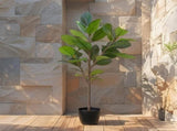 Potted Artificial Lofty Fig Ficus Tree 92cm V637-84504FIG