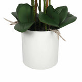 Large Multi-Stem White Potted Faux Orchid 65cm V637-DP1018513