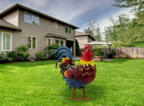 Whimsical Garden Rooster Statue, Hand-Painted Metal Accent, Rust-Resistant Iron Craftsmanship, V1192-AZ-W-24268