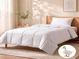 Giselle Bedding Single Quilt, 200GSM Summer Duck Down Feather Doona Insert QUILT-DFD-200-S