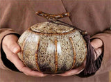 Ceramic Storage Jar with Airtight Lid, Vintage Sealed Canister for Tea Coffee Spices, Yellow, V1237-ZY-924-263