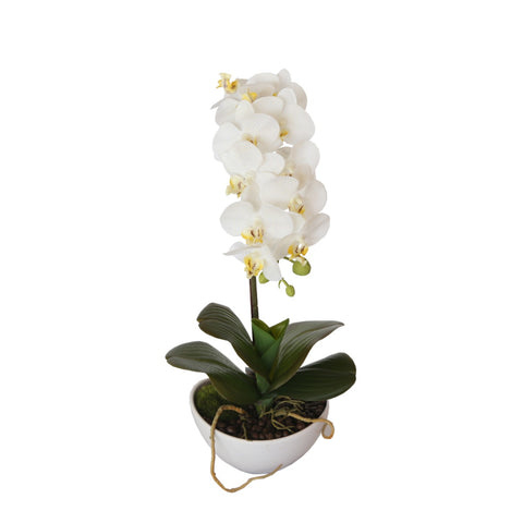 46cm Butterfly Orchid - White V77-1018511