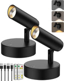 Spotlights Indoor, No-Glare Rechargeable Floor Can Light for Plants with Remote, Wireless Art Accent V1171-CB-BOM001241-2