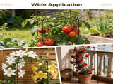 8PCS Peony Cages and Supports, 11.8" x 17.7" Iron Flower Stakes, Green Circular Guide Growth System V1192-AZ-W-18385