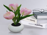 Aoresac Desktop LED Tulip Lamp Artificial Flower Night Light Bouquet Lamp 3 Heads with Ceramic Vase V1294-YM0901-H46916P