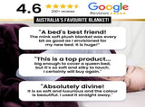 Laura Hill 600-GSM Mink Blanket Queen Size Double-Sided Soft Plush Bed Faux Throw Rug Wine Gree MINK-GN