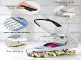 Vegetable Chopper with Container, 2 in 1 Manual Hand Food Chopper with 2 Stainless Steel Chopping V1258-DP02-C-2895