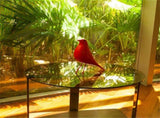 Mid House Bird - Sculpture Replica,Mid Desk Modern Decor, Pigeon for Desk, Mid V1258-DP02-C-737