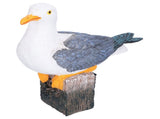 Seagull Figurine Decorations Cute Appearance Vivid Lifelike Exquisite Workmanship Nautical Decor for V1294-YM0523-3115210231711
