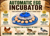 26 Egg Hatching Incubator Machine Automatic Turning Digital LED Chicken Duck V379-EGGINCBT26