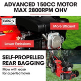 BAUMR-AG 18" 150cc Self Propelled Lawn Mower, 7 Height, Steel Deck, Cup Holders, 4-Stroke Petrol V219-MOWSPRBM18SA