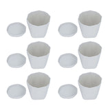6Pcs Small Plant Pot Lightweight Versatile Simple Style Plastic Flower Pot with Trays for Indoor V1294-YM0901-3111240201812