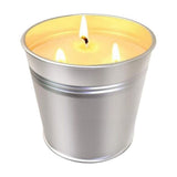 Lemongrass Scented Triple Wick Soy Candle In Smooth Tin, Large Inventory! V1192-AZ-W-26078