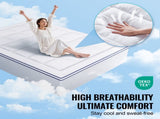 Mattress Topper, Queen Size, 25.4 mm Thickness, Fiber Fill Pad with Detachable & Washable, V952-XWTCD6080INCC3PJWV0