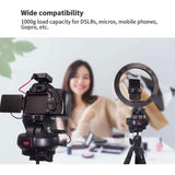 Electric Dual-Shaft Gimbal For Live Control PRL-66224060DBT