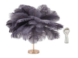 Ostrich Feather Table Lamp Rechargeable Modern Romantic Decoration Lamp Bedroom Bedside Lamp for V1294-YM0703-3119230059315