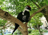 17 Inch Realistic Woodpecker Deterrent - Lifelike Woodpecker Decoy with Iron Wire - Garden & Yard V1366-AZ2-W-16425