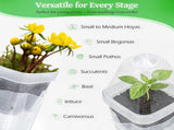Self-Watering Propagation Station with Adjustable Ventilation Dome, Clear Square Plant Nursery Pot V1341-ZY-DZZM44ZF-10PCS
