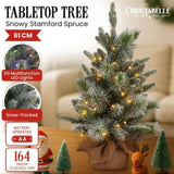 Christabelle 61cm Pre-Lit Snowy Stamford Spruce Battery-Operated Mini Christmas Tree Multi-Func 112_NATSS2
