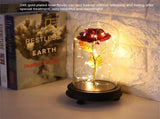 24K Gold Plated Rose Flower LED Light with Glass Cover Base Valentines'Day Wedding Gift Red V1294-YM0727-JY15089-01