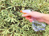 Garden Tools Set - 13 Pieces Heavy Duty Ergonomic Handle Gardening Tools with Carrying Case, Rake, V1366-AZ2-W-06106
