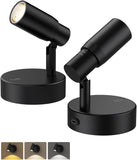 Zoomable Spot Lights Indoor, Rechargeable Picture Light with Remote, Dimmable CCT Spotlight for Wall V1171-CB-BOM001447-2