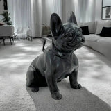 Danny French Bulldog Statue 47cm V637-E144286