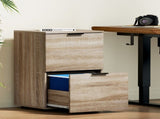 Artiss Filing Cabinet Files Storage Office Shelves File Organiser Oak 2 Drawer FURNI-B-CAB-2T-WD