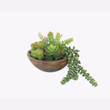 Kaori Mixed Succulent Bowl 20cm V637-45129SUC