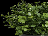 Small Potted Artificial Buxus Plant UV Resistant 20cm V637-DP1013001