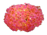 Solar Ball Light Outdoor Waterproof Garden Flower Spot Light Decorative for Courtyard Pink V1294-YM0901-3119240056911
