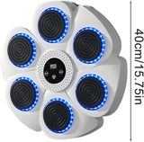 Bluetooth Boxing Machine Wall Mount White, Gloves Included, V178-66912
