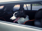 iBuddy Dog Seat Cover Car Hammock w/ Mesh Window & Dog Seat Belt V568-IB-P00027-SB