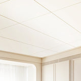 VEVOR Ceiling Tiles 12-Pack 24 x 24 in PVC Foam Fire-Rated Smooth White V952-THBZPVCFPB12YYQ3WV0
