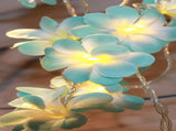 1 Set of 50 LED Tropical Blue Frangipani Flower Battery 5m LONG String Lights Christmas Gift Home V382-BLUEFRANGIBATT50