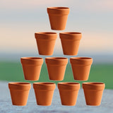 Terracotta Small Plant Pots Brown Smooth Texture for Herbs and Crafts 20Pcs V1370-AZ4-19561