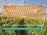 LED Plant Lamp 50W Full Spectrum Plant Grow Light High Brightness Succulent Fill Light for V1294-YM0901-L6913UK-2
