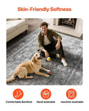 Area Rug, 2438.4x3048 mm Large Washable Rug, Non-Slip Tear-Resistant Soft Carpet, Pet & Child V952-JXDDT8X10FTF8FJJV001V0