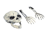 Skeleton Decor Cosplay DIY Multifunctional Lifelike Compact Scary Halloween Skeleton V1294-YM0710-3115210178811