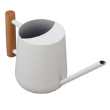Watering Can 900ml Stainless Steel Long Spout Wooden Handle Elegant Flower Watering Pot for Garden V1294-YM0706-3111230174011