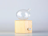 Geometry Hexagon Nebuliser - Waterless Diffuser Essential oil Burner Aromatherapy Home V760-N-12H