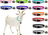 10 Pack Reflective Goat Collar with Crisp Bells,Adjustable Nylon Sheep Collar with Anti-Lost Grazing V1192-AZ-W-0929